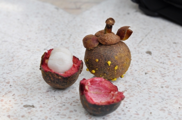 Zdjęcie z Tajlandii - słodki mangostan