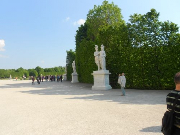 Zdjęcie z Austrii - ogród Schönbrunn