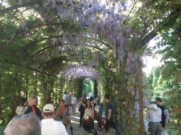 Zdjęcie z Austrii - ogród Schönbrunn