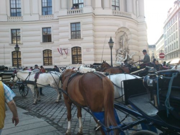 Zdjęcie z Austrii - 