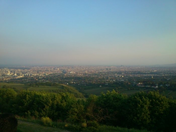 Zdjęcie z Austrii - Panorama Wiednia