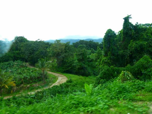 Zdjęcie z Gwadelupy - Basse-Terre