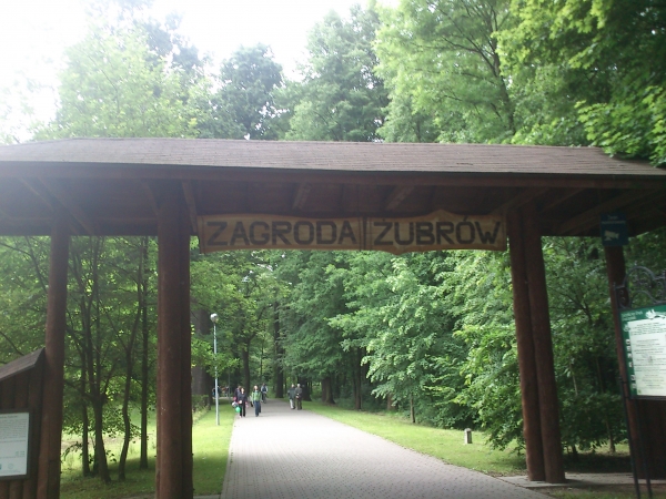 Zdjęcie z Polski - Zagroda żubrów