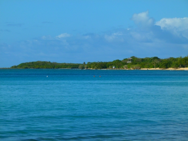 Zdjęcie z Gwadelupy - Port-Louis 
