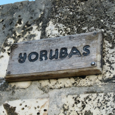 Zdjęcie z Gwadelupy - 