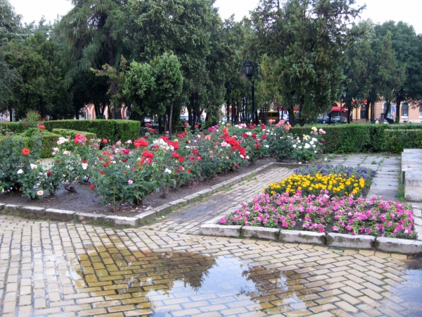 Zdjęcie z Rumunii - Satu Mare
