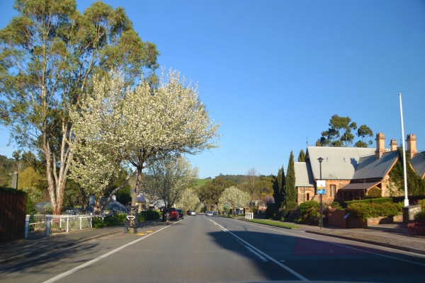 Zdjęcie z Australii - Miejscowosc Clarendon, w drodze do Kangarilla