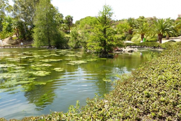 Zdjęcie z Hiszpanii - Park Miejski La Paloma