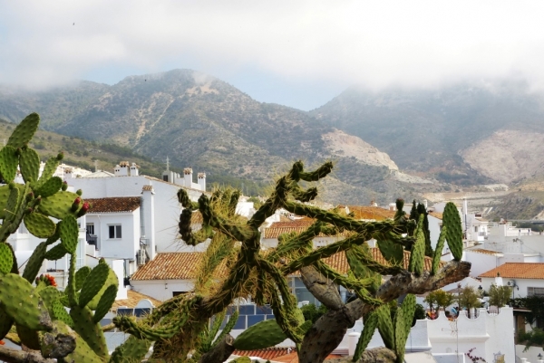 Zdjęcie z Hiszpanii - Benalmadena Pueblo