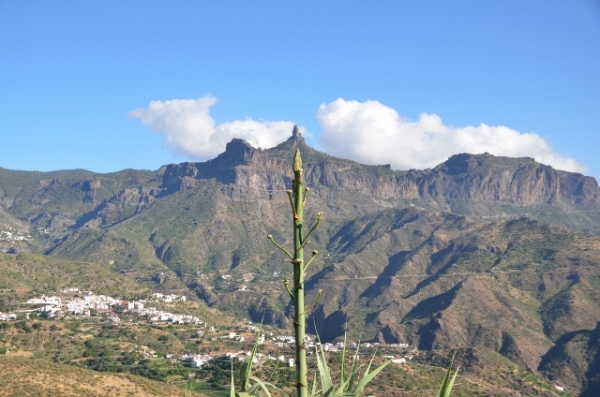 Zdjęcie z Hiszpanii - Gran Canaria