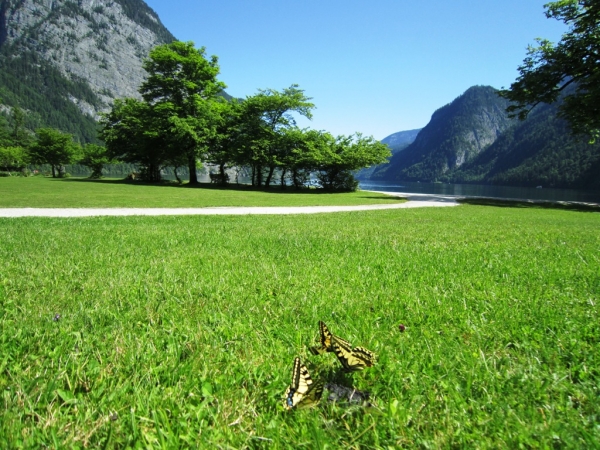 Zdjęcie z Niemiec - Königssee