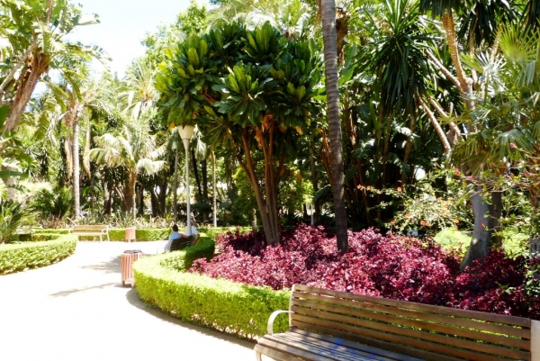 Zdjęcie z Hiszpanii - Park Miejski w Maladze