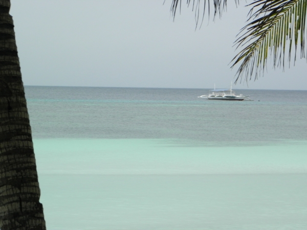 Zdjęcie z Filipin - Panglao south palm resort