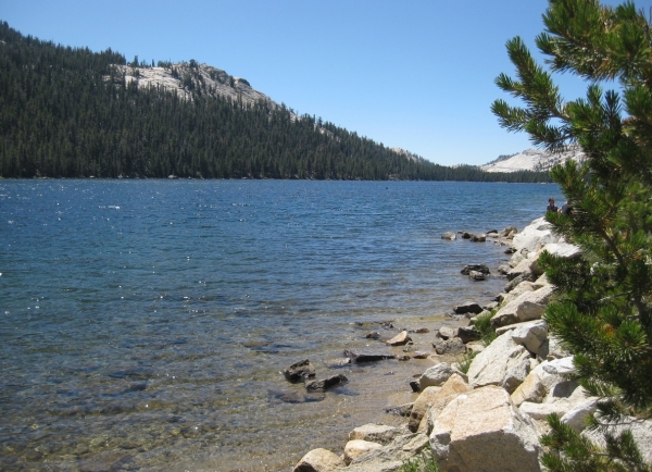 Zdjęcie ze Stanów Zjednoczonych - Yosemite NP