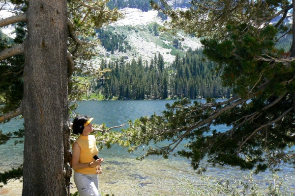 Zdjęcie ze Stanów Zjednoczonych - W Yosemite NP