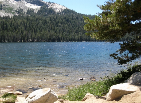 Zdjęcie ze Stanów Zjednoczonych - Yosemite NP