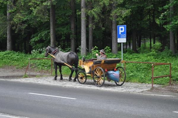 Zdjęcie z Polski - 