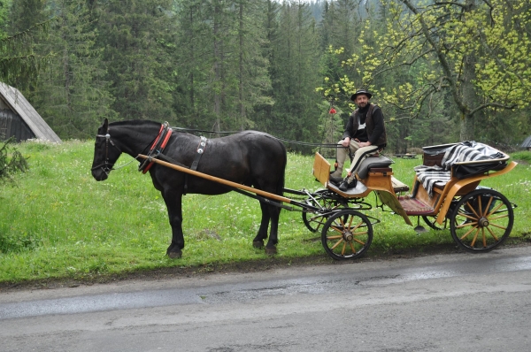 Zdjęcie z Polski - Taxi :)