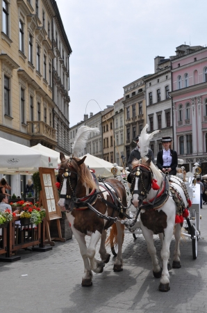 Zdjęcie z Polski - 