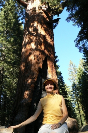 Zdjęcie ze Stanów Zjednoczonych - Yosemite NP