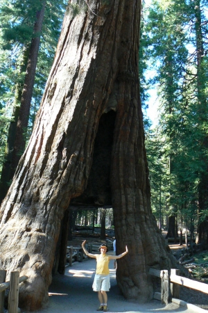 Zdjęcie ze Stanów Zjednoczonych - Yosemite NP