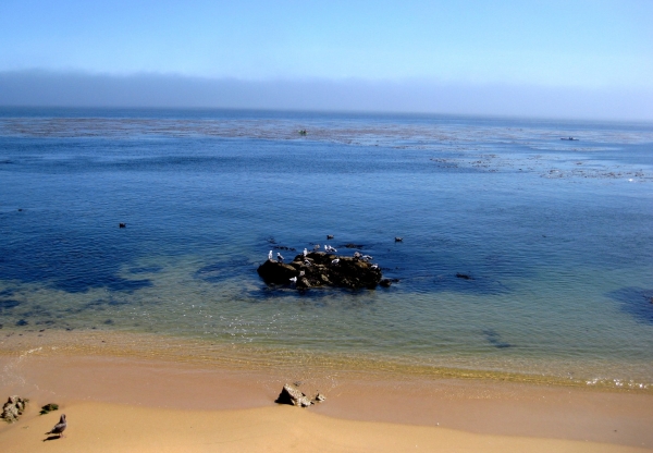 Zdjęcie ze Stanów Zjednoczonych - Monterey
