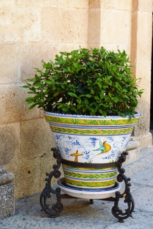 Zdjęcie z Hiszpanii - Andalusia:)
