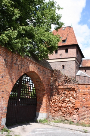 Zdjecie - Polska - Malbork i okolice