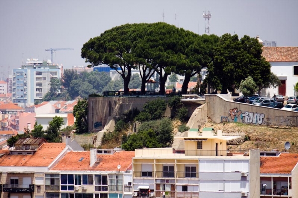 Zdjęcie z Portugalii - 