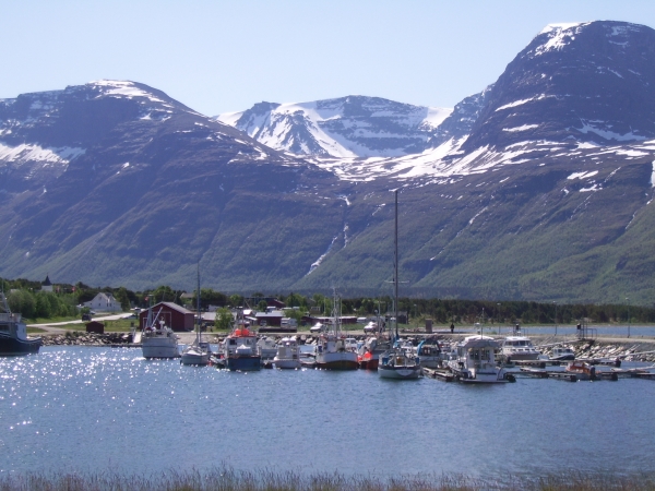 Zdjęcie z Norwegii - 
