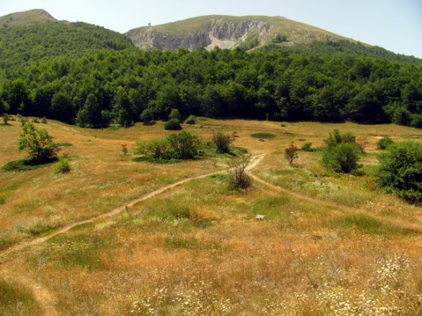 Zdjęcie z Macedonii - Park narodowy Galicica.