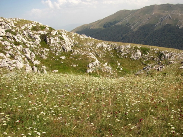 Zdjęcie z Macedonii - Park narodowy Galicica.