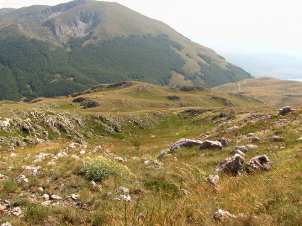 Zdjęcie z Macedonii - Park narodowy Galicica.