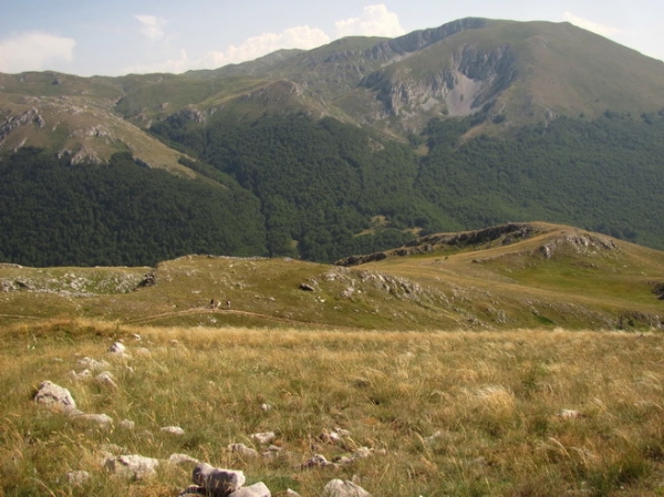 Zdjęcie z Macedonii - Park narodowy Galicica.