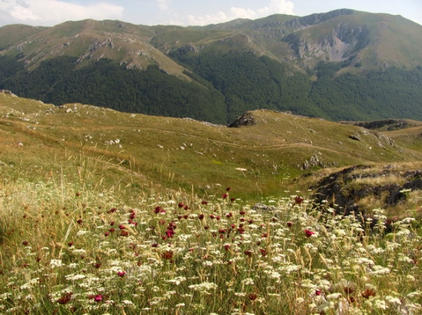 Zdjęcie z Macedonii - Park narodowy Galicica.