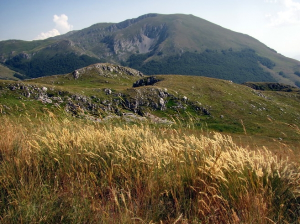 Zdjęcie z Macedonii - Park narodowy Galicica.