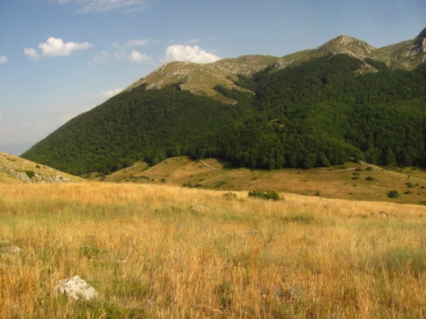 Zdjęcie z Macedonii - Park narodowy Galicica.