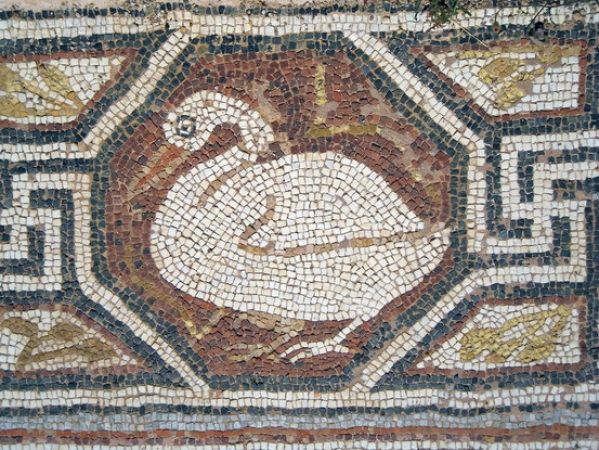 Zdjęcie z Macedonii - Heraclea - fragment mozaiki podłogowej.