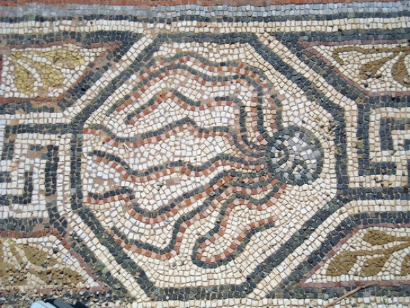 Zdjęcie z Macedonii - Heraclea - fragment mozaiki podłogowej.