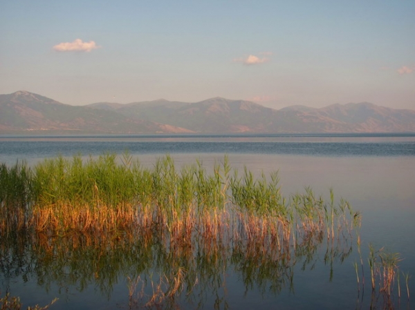 Zdjęcie z Macedonii - Jezioro Prespańskie - widok z brzegu.