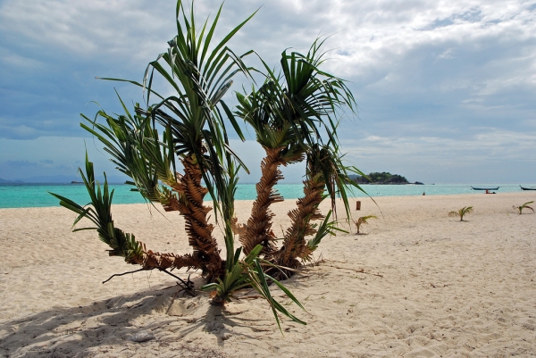 Zdjęcie z Tajlandii - KOH LIPE