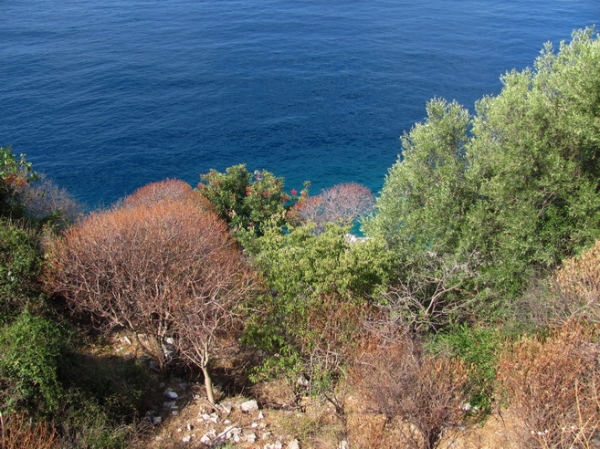 Zdjęcie z Albanii - Porto Palermo - twierdza.