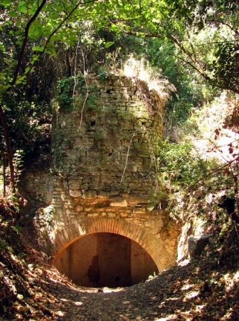 Zdjęcie z Albanii - Butrint - tajemnice "dżungli".