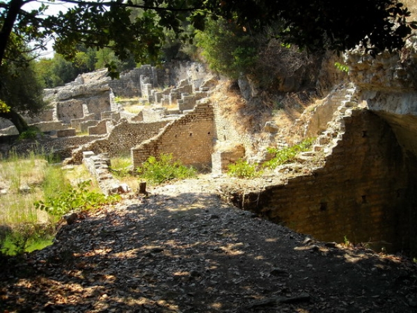 Zdjęcie z Albanii - Butrint - tajemnice "dżungli".