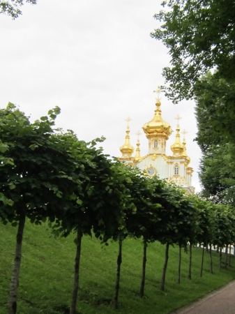 Zdjęcie z Rosji - Petersburg - Peterhof
