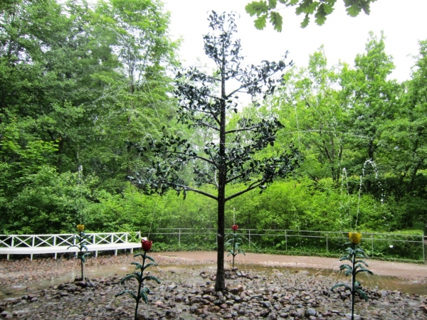 Zdjęcie z Rosji - Petersburg - Peterhof