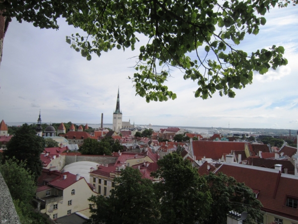 Zdjęcie z Estonii - Tallinn
