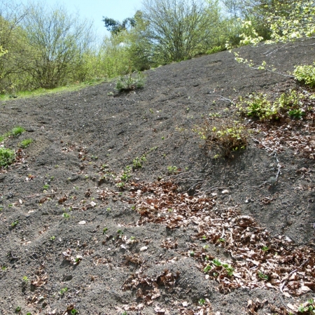 Zdjęcie z Francji - Puy de Dome