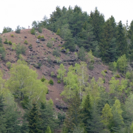 Zdjęcie z Francji - Puy de Lasselas