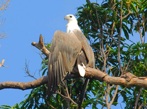 Zdjęcie z Malezji - LANGKAWI